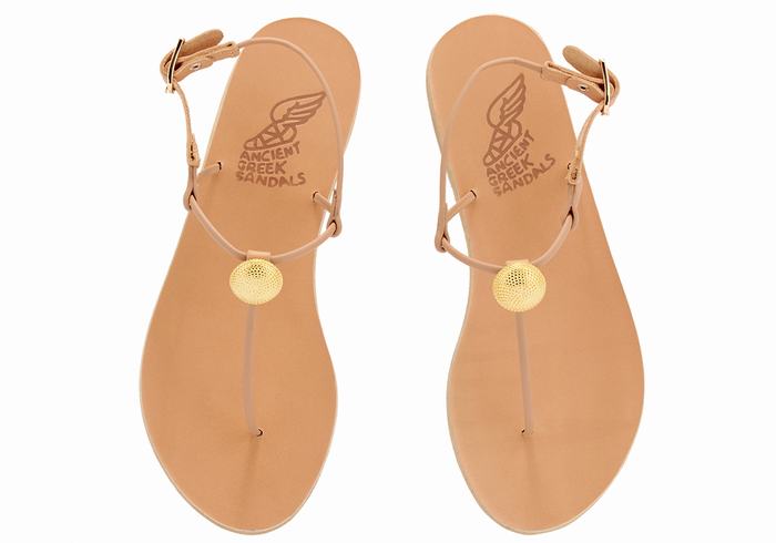 Sandales Bride Arrière Ancient Greek Sandals Dimitra Flip Flop   | YRC-0314856